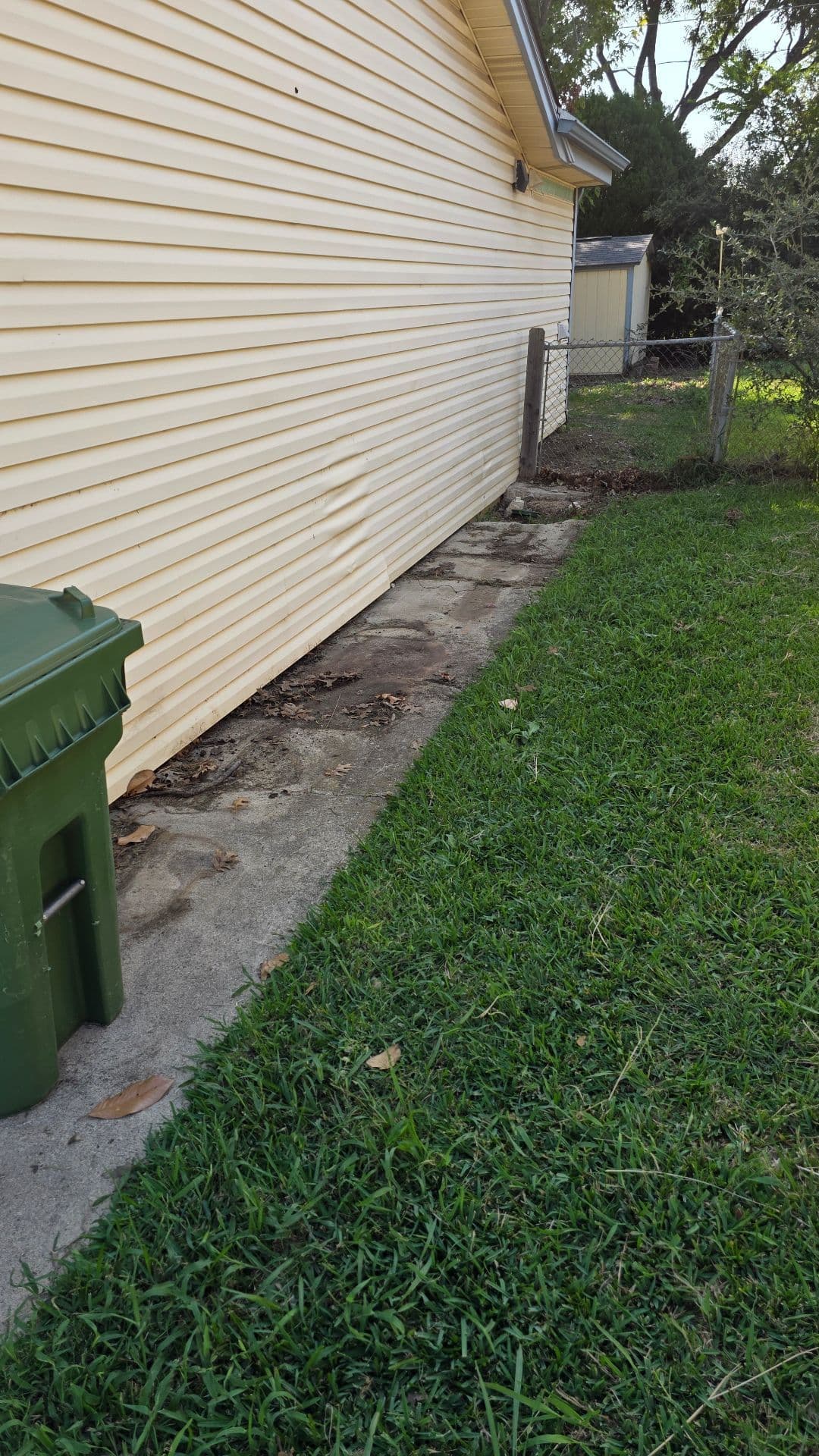 Revamping a Cluttered Grapevine Backyard image