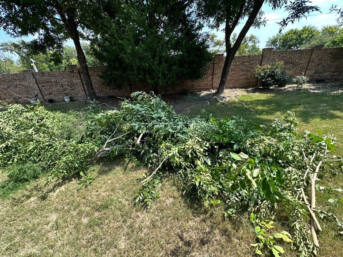 Frisco's Expert Tree Branch Removal Service image