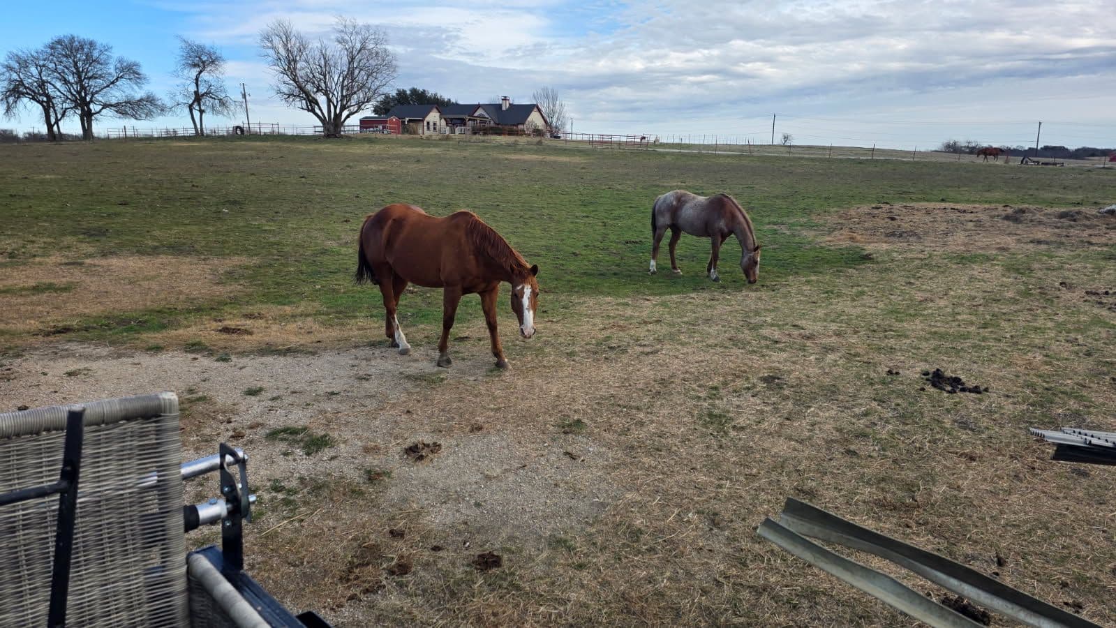 Gallery photos for Comprehensive Rural Cleanup in Celina Texas: Image #1