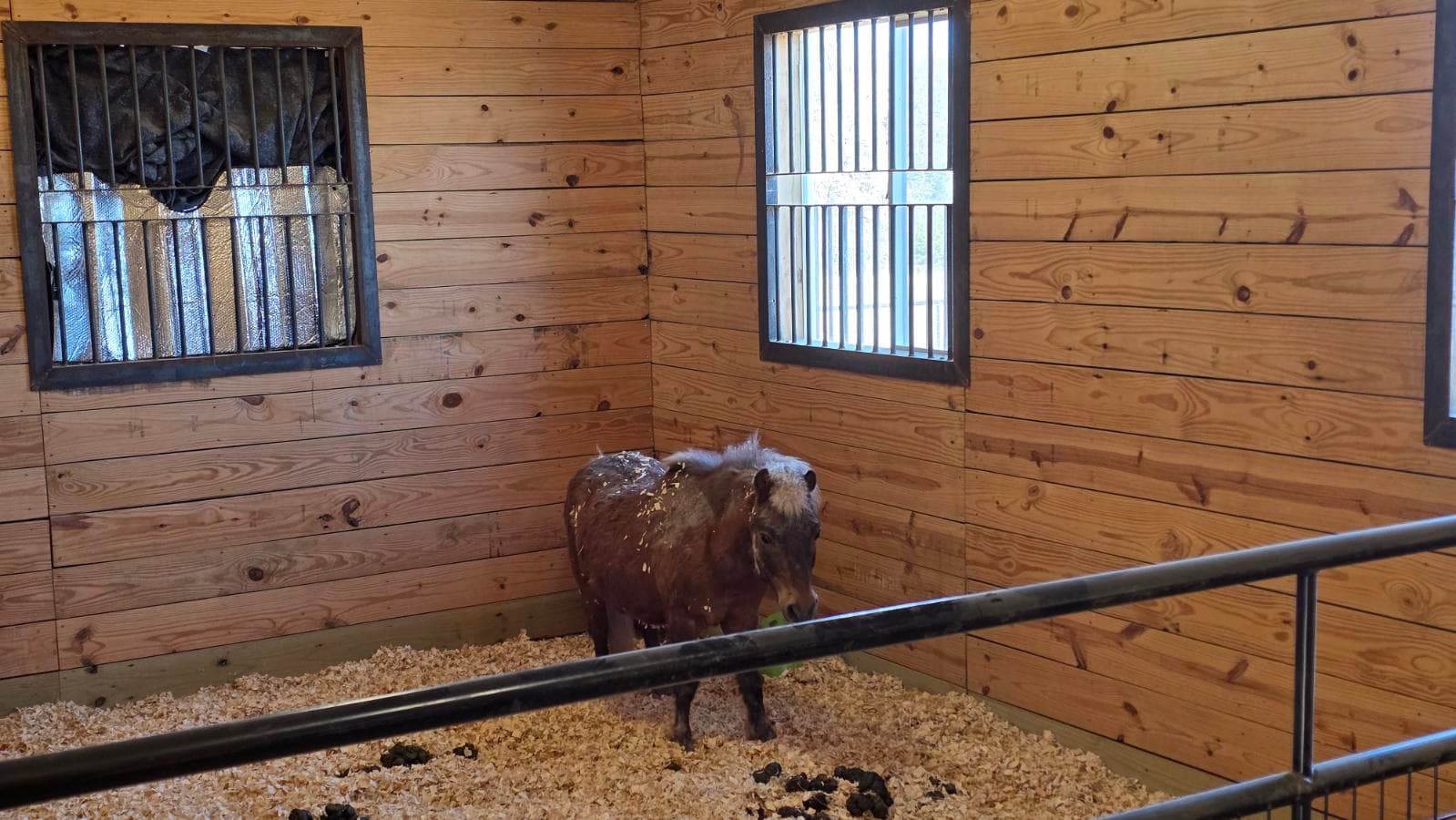 Gallery photos for Efficient Junk Removal in Whitesboro TX: Image #1