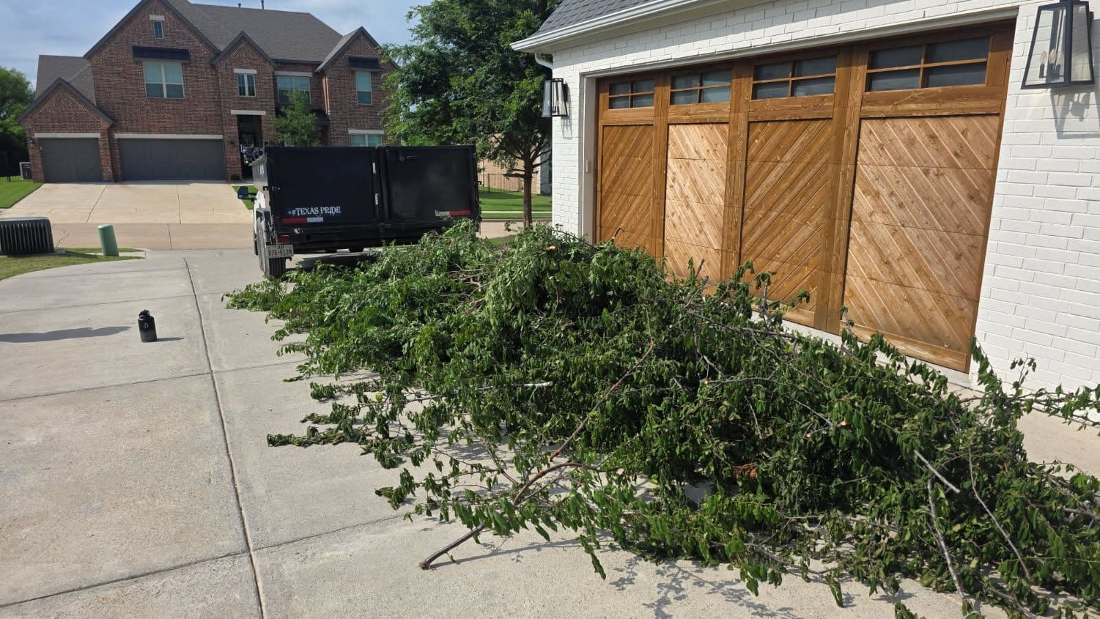 Efficient Tree Branch Cleanup in Gunter Texas image