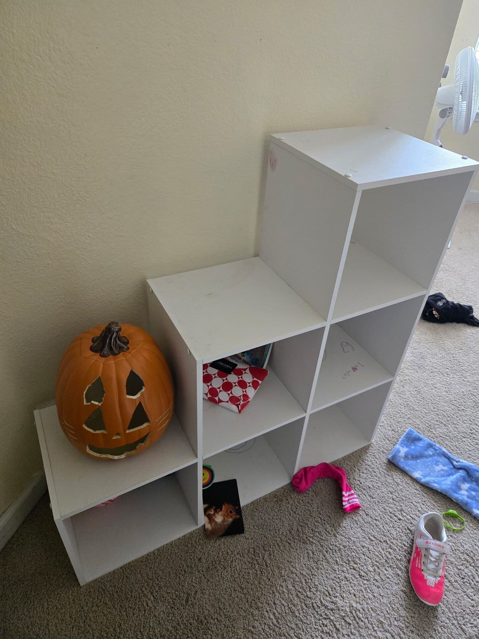 Gallery photos for Big Clean-Up and Declutter in Little Elm: Image #1