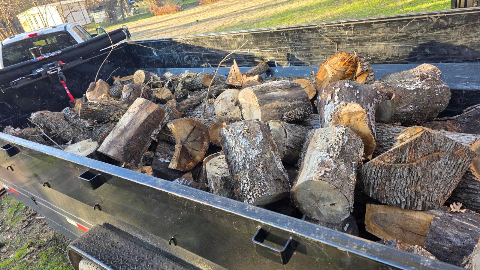 Efficient Tree Removal in Denton Texas image