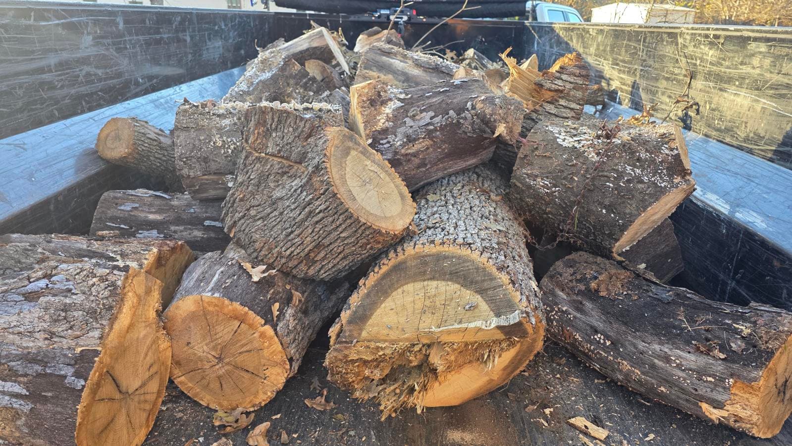 Gallery photos for Efficient Tree Removal in Denton Texas: Image #1