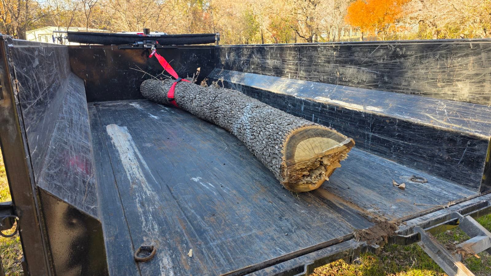 Gallery photos for Efficient Tree Removal in Denton Texas: Image #2